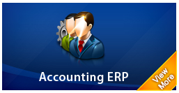 accounting erp system